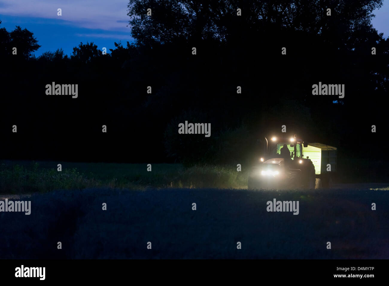 Penzlin, Germania, un esecutore di una cooperativa in una notte il raccolto di grano Foto Stock