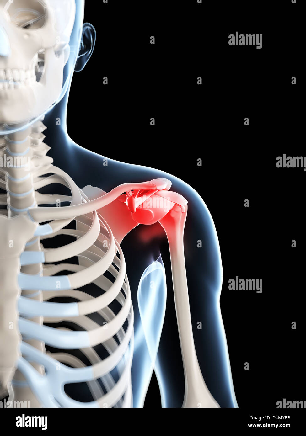 Evidenziato giunto a spalla Foto Stock