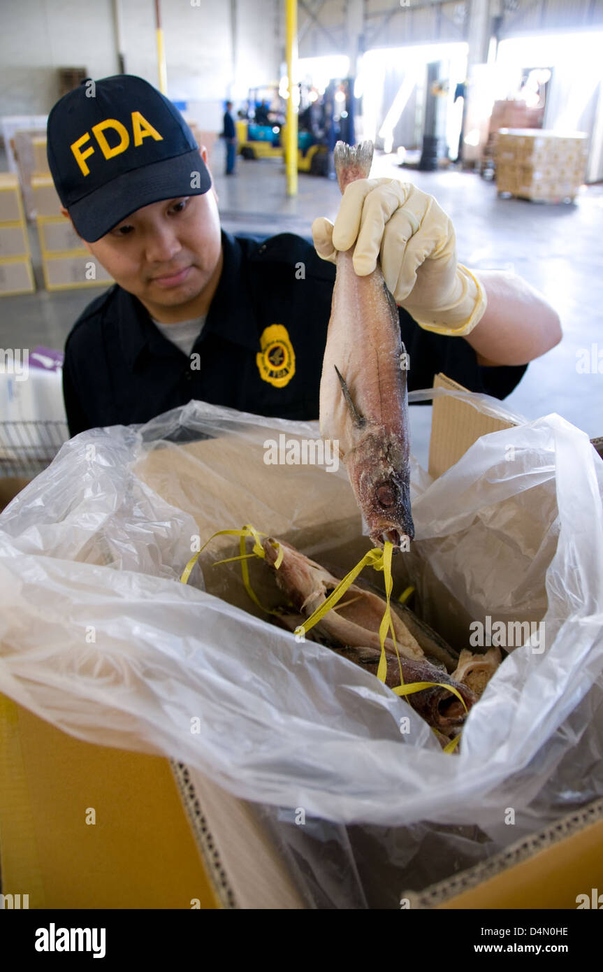 L'FDA ha emesso un allarme per quanto riguarda le importazioni di pesce, tra cui vongole, sardine, gamberetti e tonno, per potenziali contaminazioni con Clostridium botulinum. Il batterio può causare il botulismo, una grave malattia alimentare. Sono in corso ispezioni e misure igienico-sanitarie. Foto Stock
