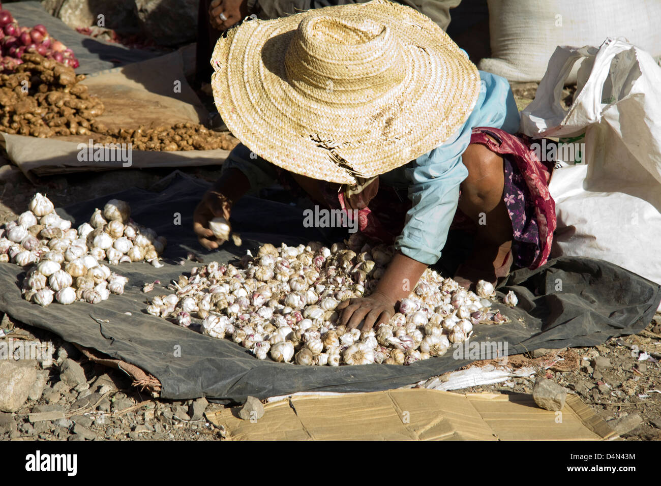 I fornitori nel mercato, il mercato più grande in Africa, Addis Abeba, Etiopia Foto Stock