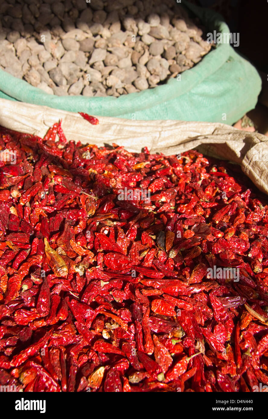 Peperoncini rossi in Mercato, il mercato più grande in Africa ad Addis Abeba in Etiopia Foto Stock