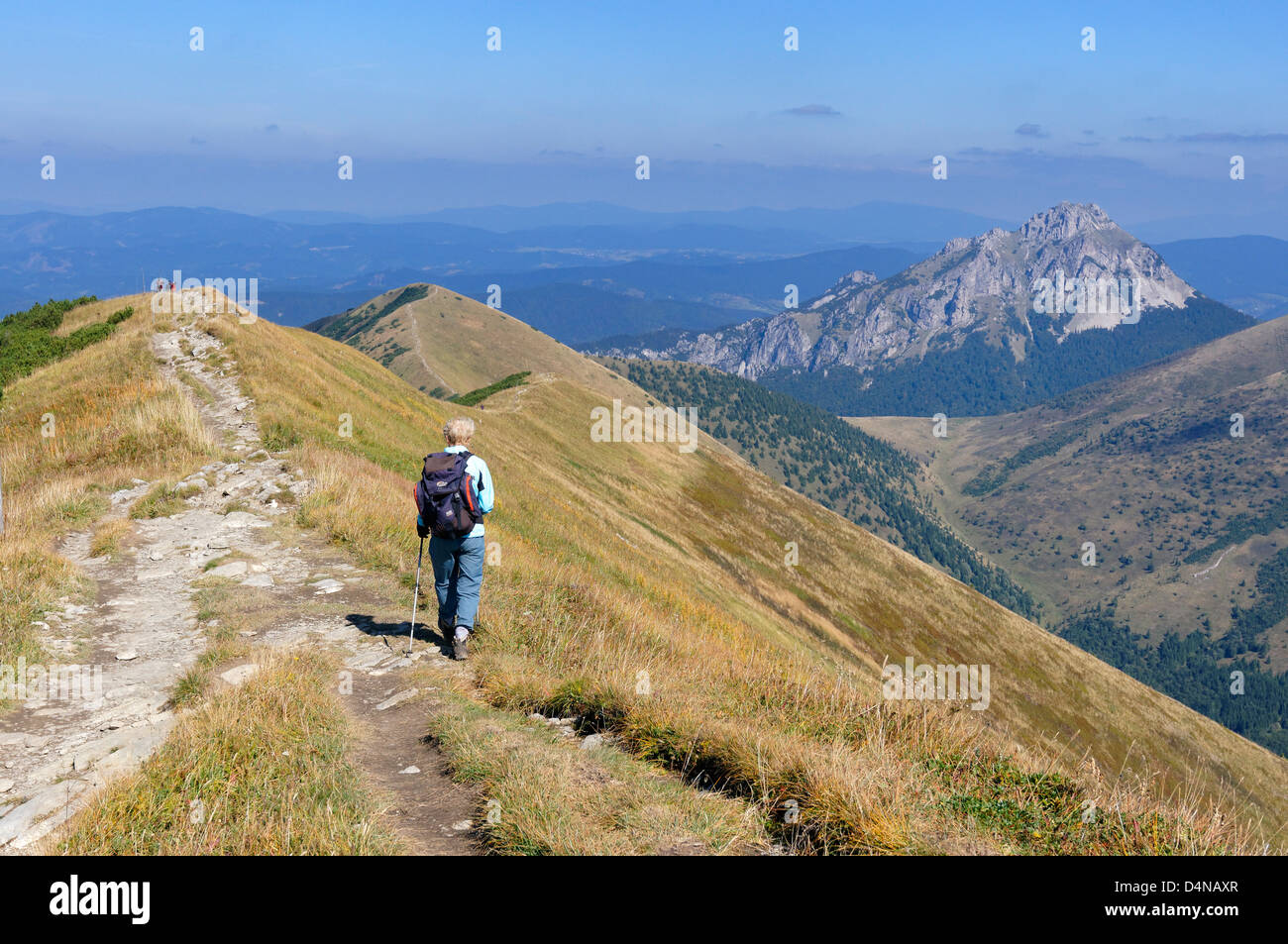 Vista verso Velky Rozsutec, Mala Fatra, Zilinsky kraj, Slovacchia. Dal vicino Chleb Foto Stock