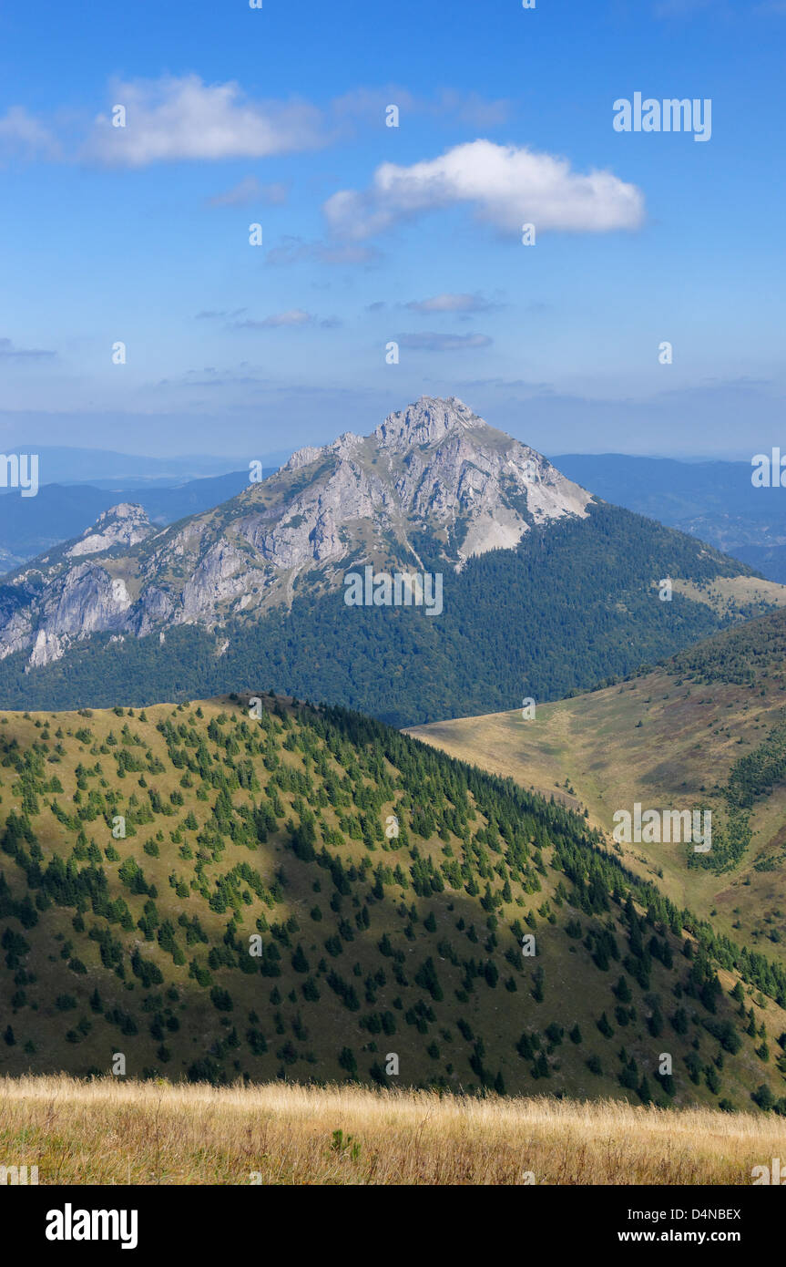 Vista verso Velky Rozsutec, Mala Fatra, Zilinsky kraj, Slovacchia. Dal vicino Chleb Foto Stock