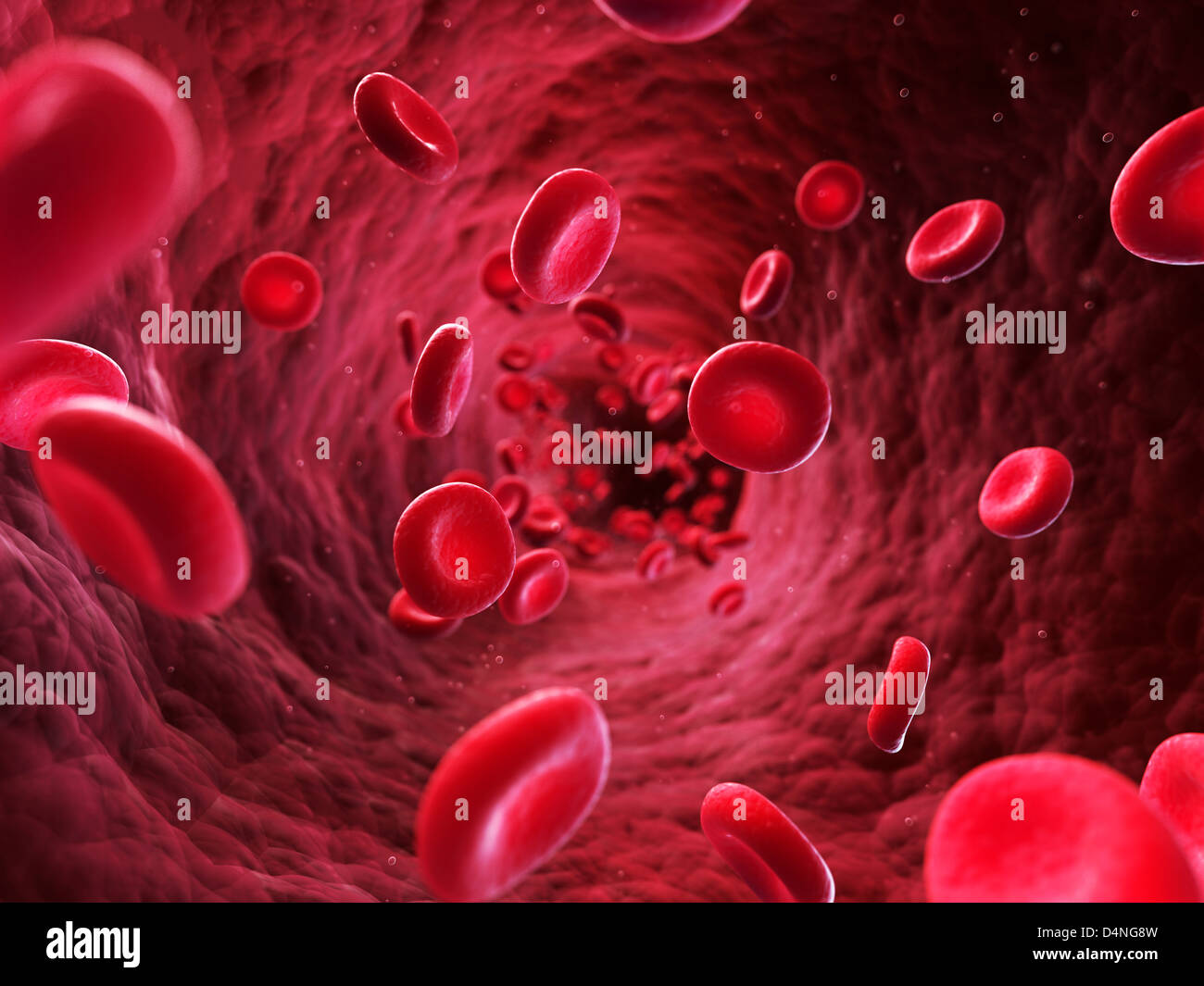 Cellule del sangue Foto Stock