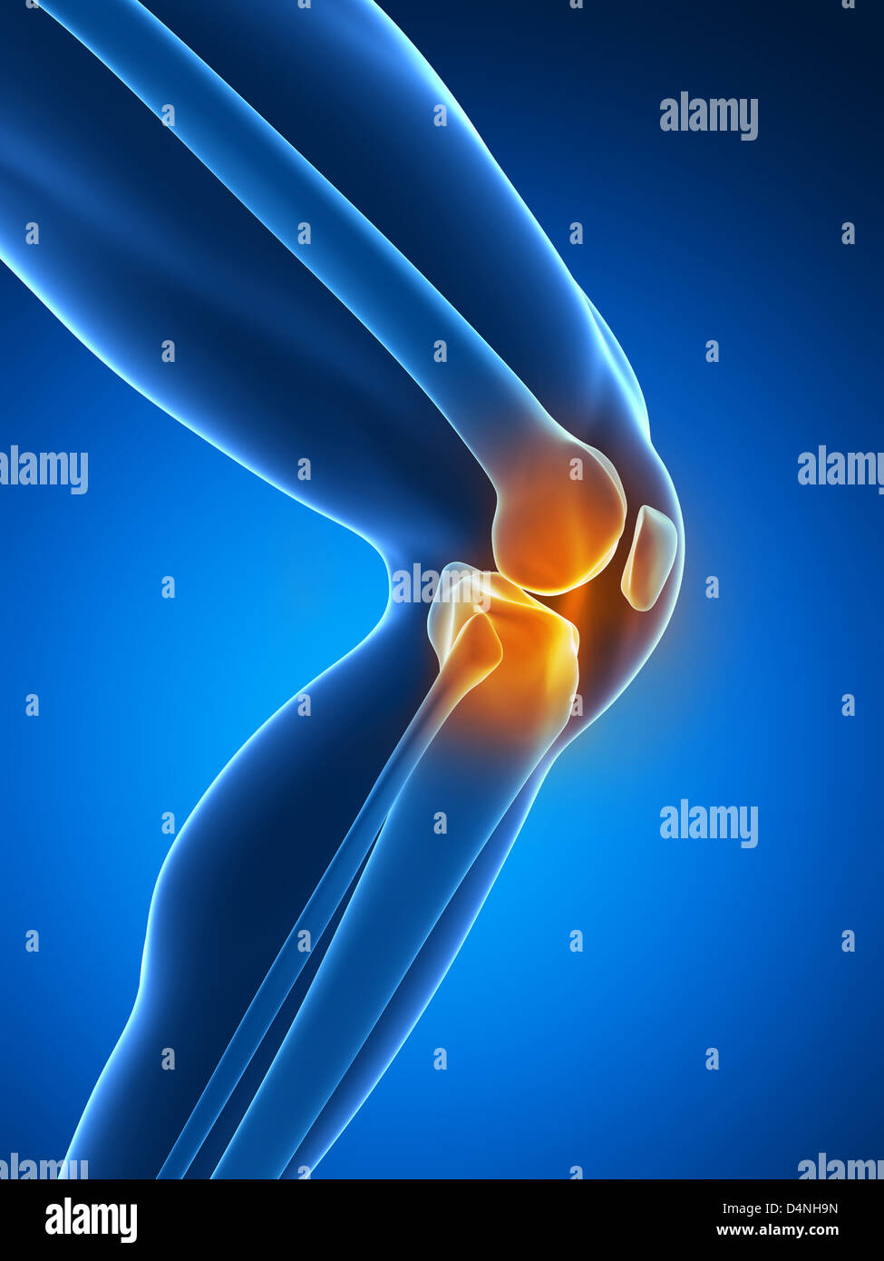 Ginocchio evidenziata Foto Stock