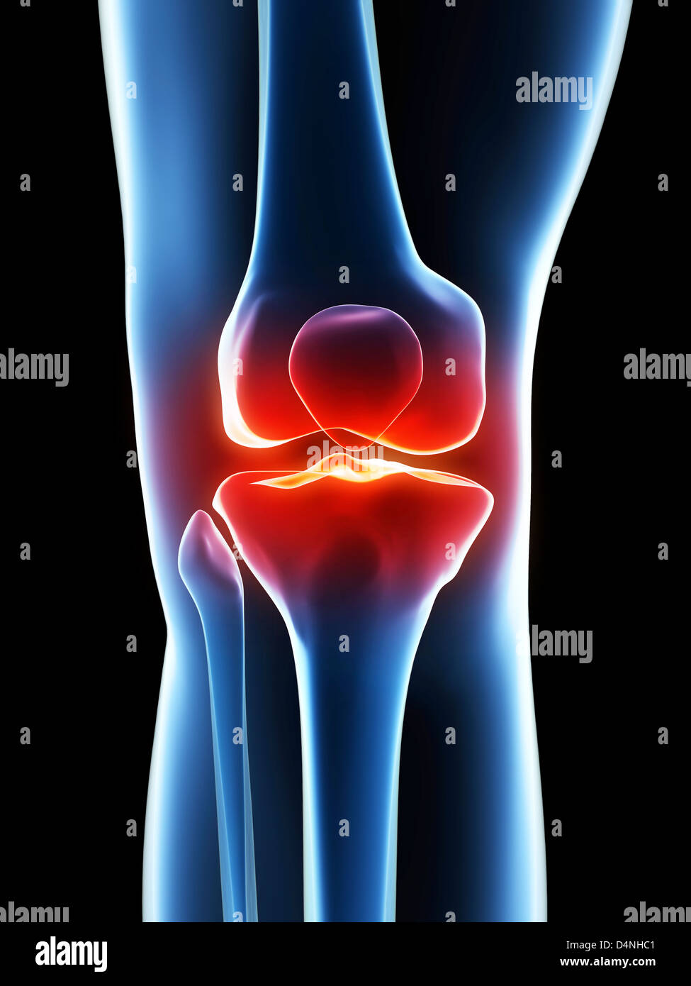 Ginocchio evidenziata Foto Stock