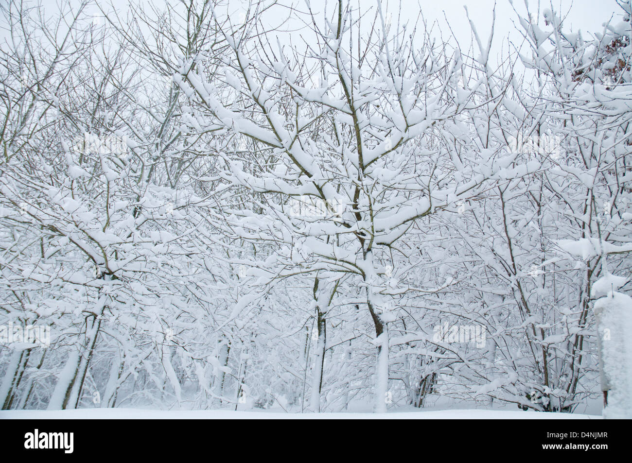 Jersey Isole del Canale vicolo del paese in freak tempeste di neve di marzo 2013 Foto Stock