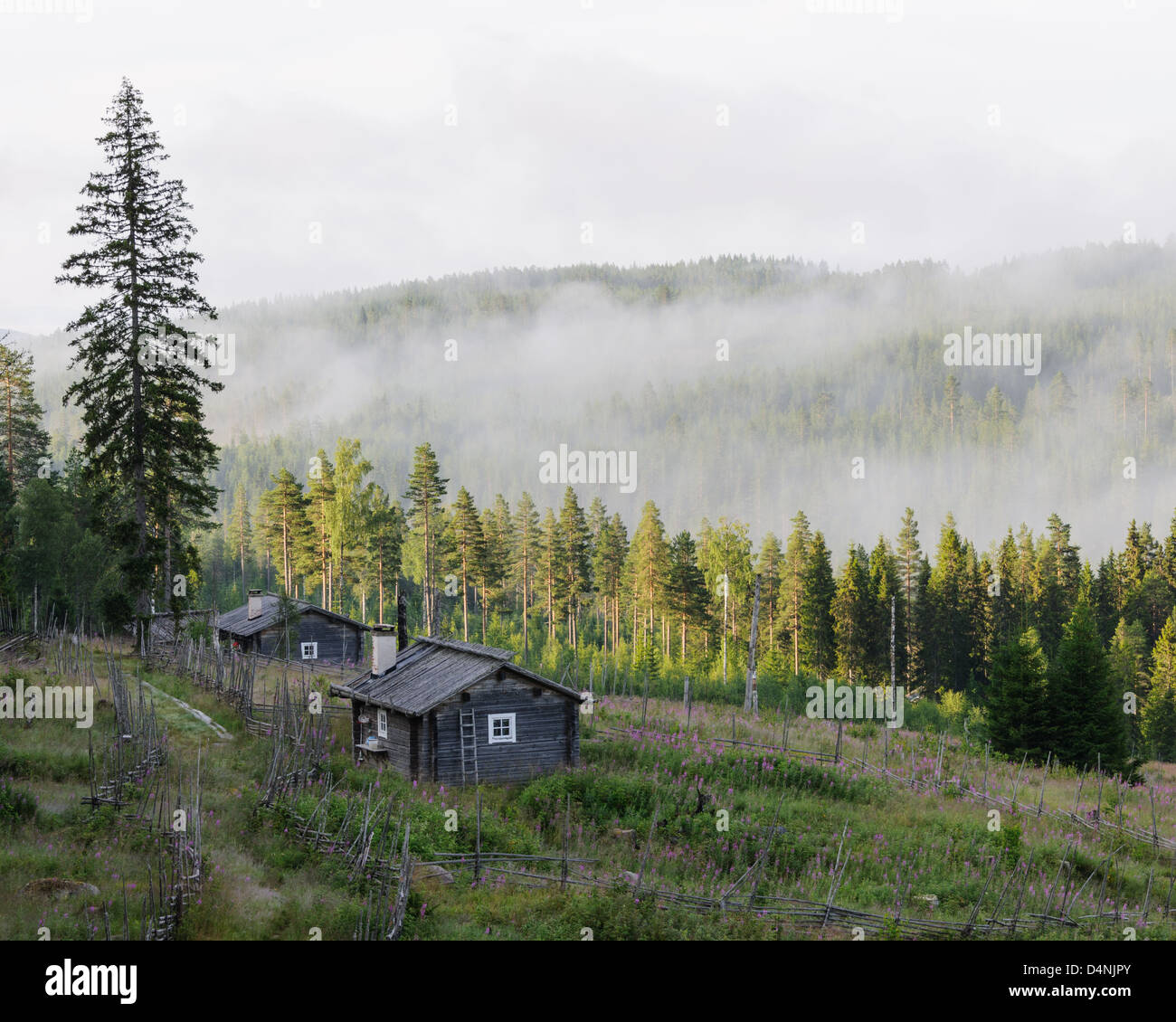 La nebbia sulle colline in Ransby, Värmland, Svezia, Europa Foto Stock