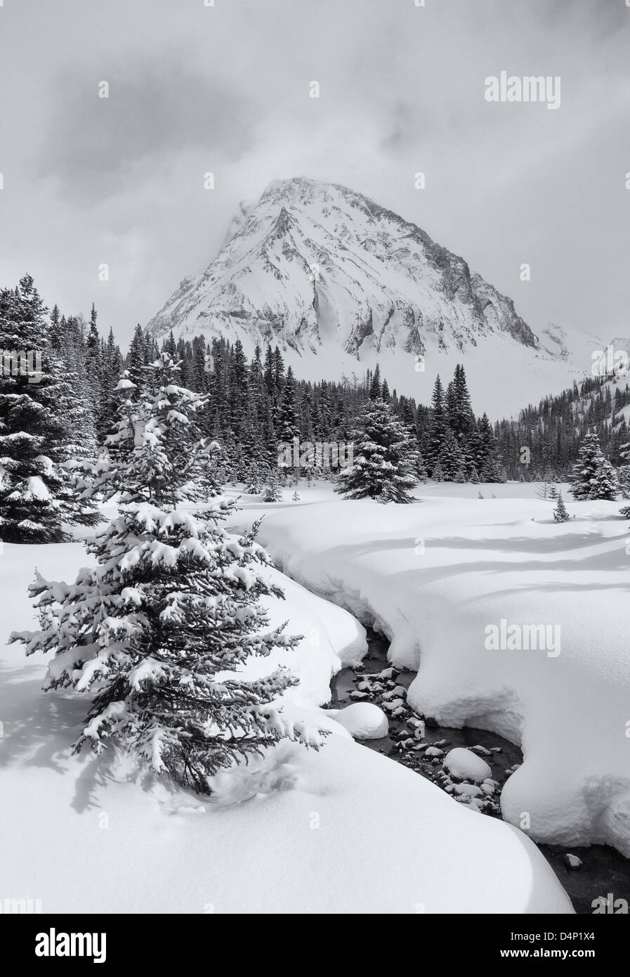 Scena invernale nelle Montagne Rocciose Canadesi. Foto Stock