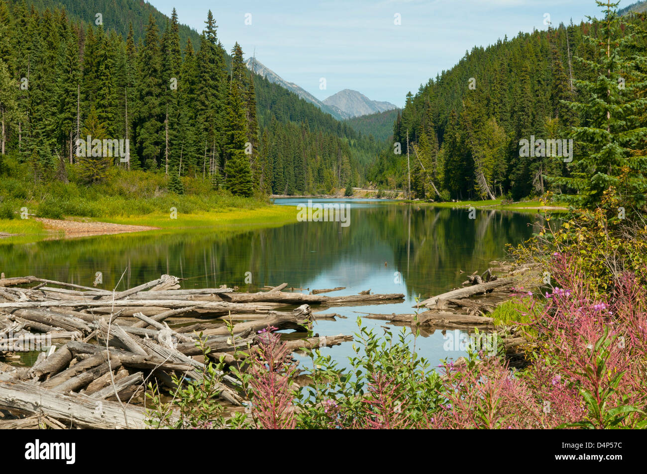 Il lago di Duffy, British Columbia, Canada Foto Stock