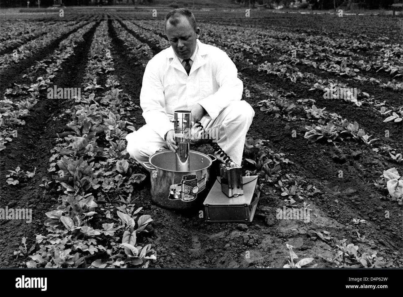 I test sul campo per i composti organici, compresi i pesticidi e i residui nei prodotti, vengono condotti utilizzando metodi gascromatografici. Questo test garantisce che i prodotti organici soddisfino gli standard di sicurezza misurando accuratamente i livelli di composti chimici e identificando la potenziale contaminazione. Foto Stock