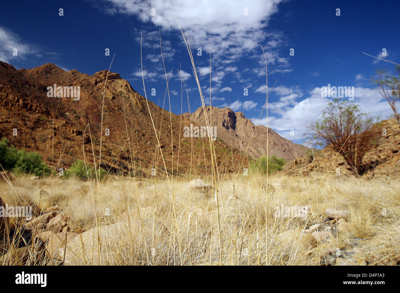 Monte Brandberg, Namibia Foto Stock