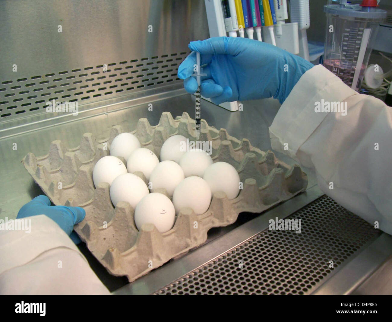 Il Centro per la valutazione e la ricerca biologica della FDA (CBER) valuta varie tecnologie di vaccino influenzale, tra cui Flublok, un vaccino antinfluenzale ricombinante. Flublok è prodotto utilizzando linee cellulari di insetti, offrendo un'alternativa alla produzione tradizionale a base di uova. La divisione mira a migliorare l'efficacia del vaccino contro i ceppi influenzali attraverso metodi di produzione avanzati. Foto Stock