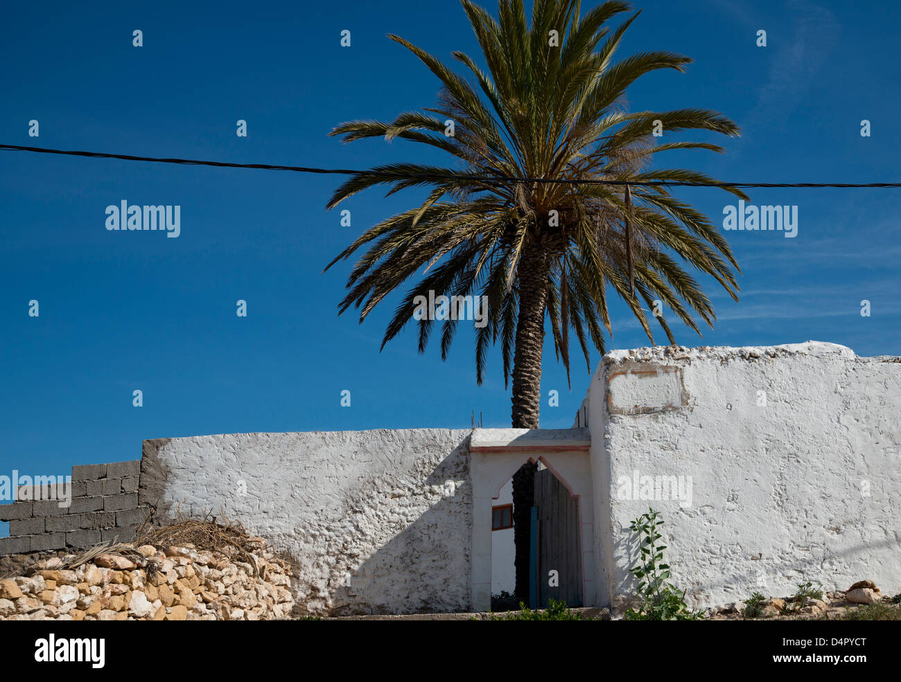 Palm Tree e muro bianco di una casa in Marocco Foto Stock