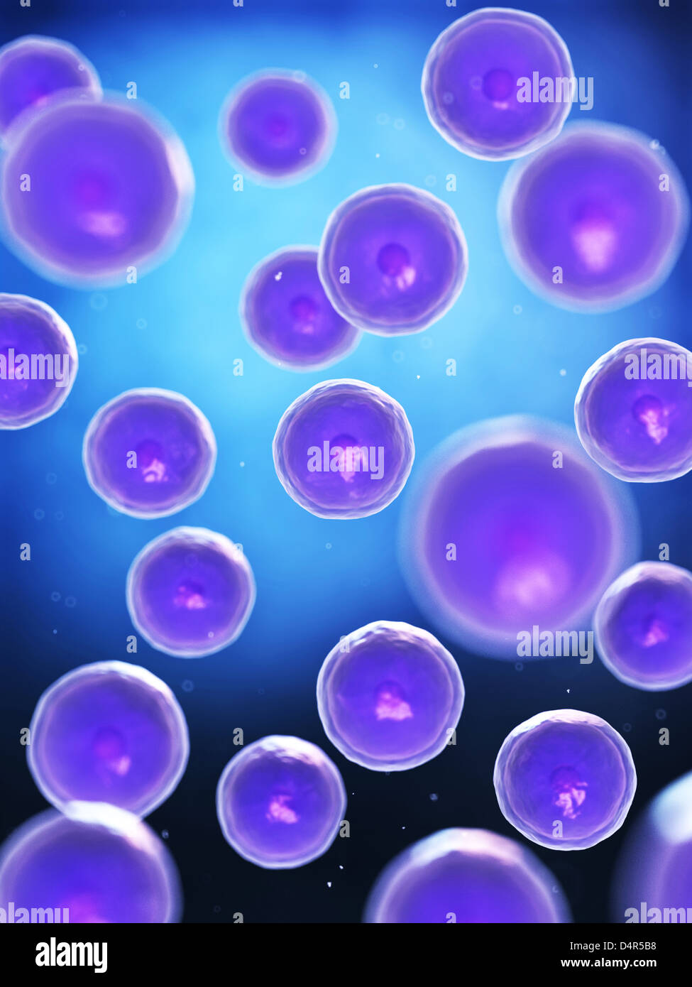 Alcune cellule Foto Stock