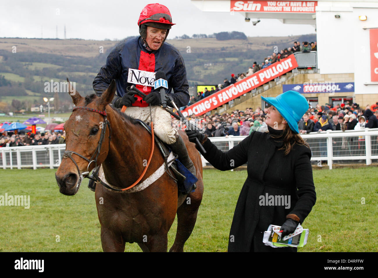 15.03.2013 - Cheltenham; Bobs vale la pena, cavalcato da Barry Geraghty dopo aver vinto Betfred Cheltenham Gold Cup Chase grado 1. Credito: Lajos-Eric Balogh/turfstock.com Foto Stock