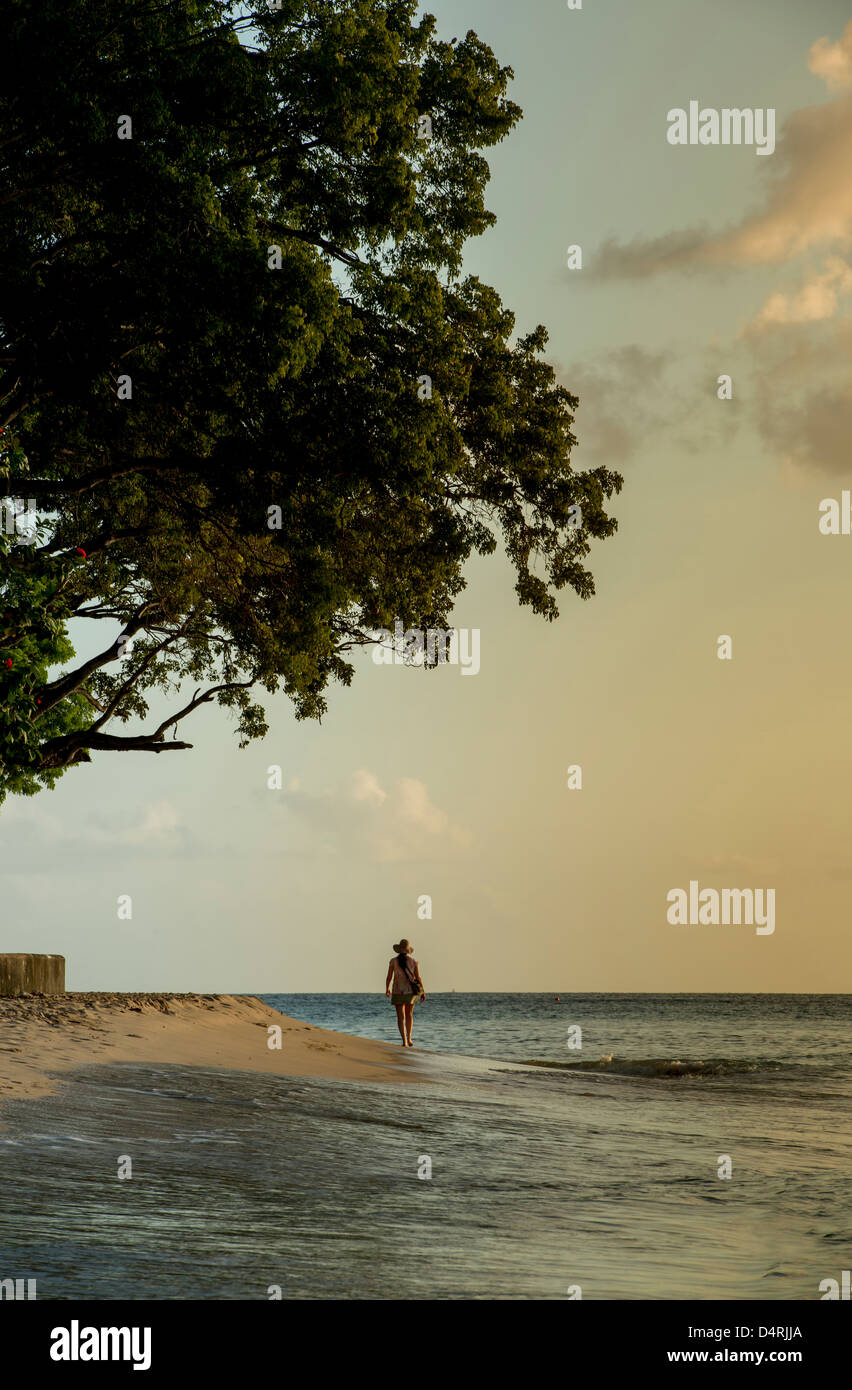 Una donna cammina lungo la spiaggia al tramonto, vicino a Holetown, parrocchia di Saint James, Barbados Foto Stock