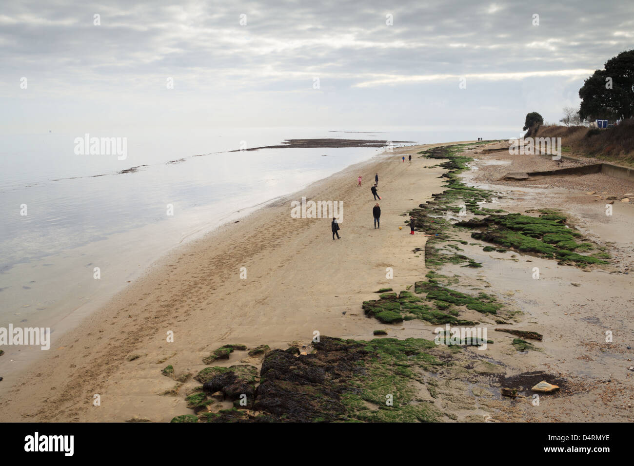 Per coloro che godono di una passeggiata sulla spiaggia a Bembridge Beach. Gli ecologisti lottano per designare un marine zona di conservazione. Foto Stock