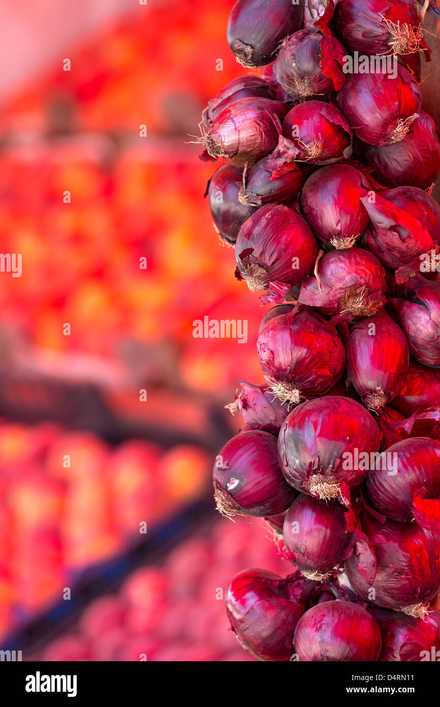 Le cipolle rosse appese al mercato in attesa di essere venduto. Foto Stock