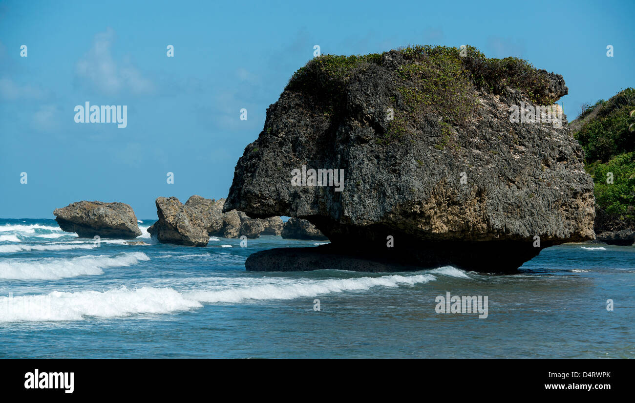 Erosi aspre formazioni rocciose a Betsabea, east cappotto di Barbados, Caraibi, West Indies Foto Stock