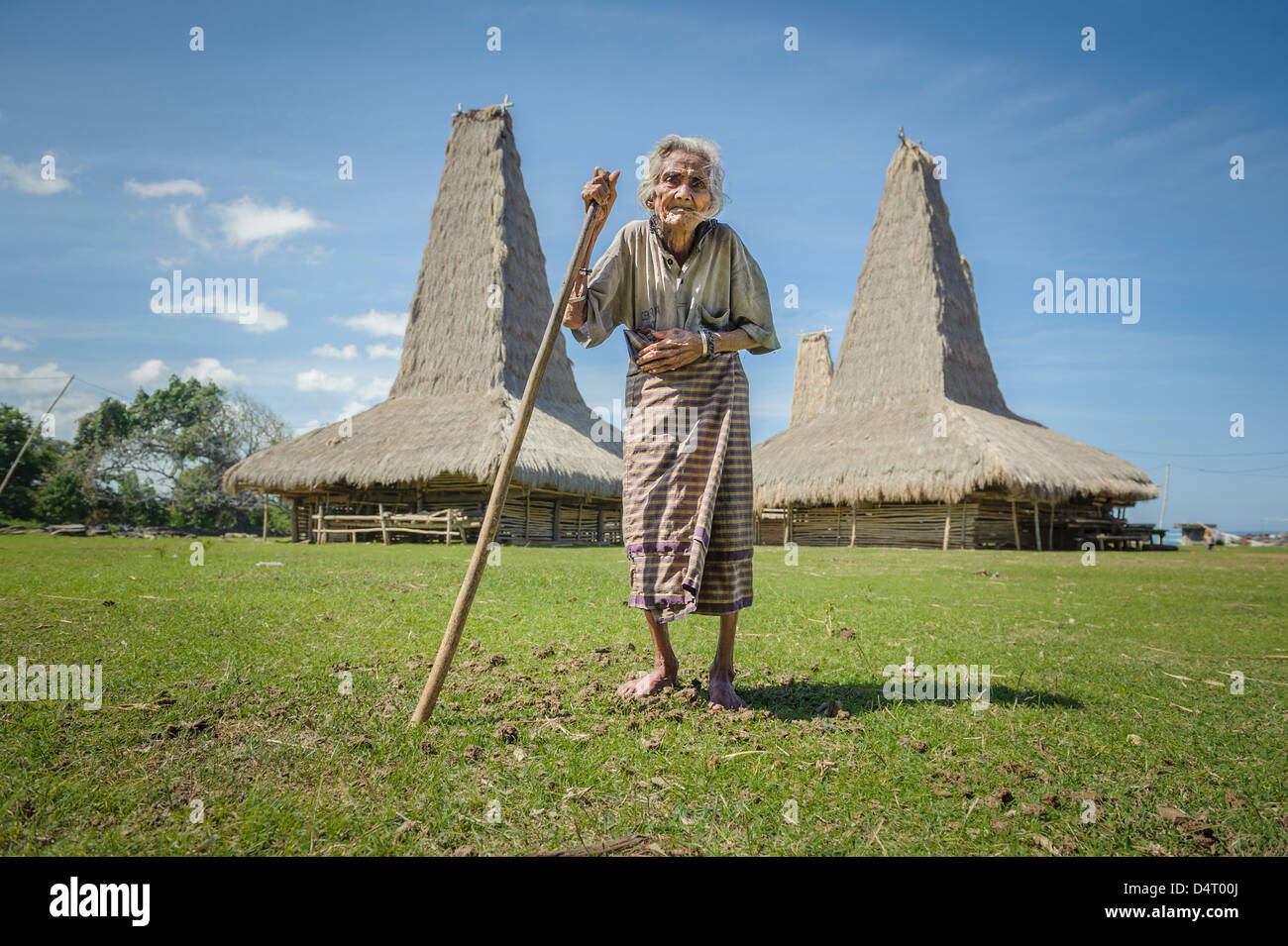 Vecchia Signora a piedi con un bastone al di fuori del villaggio rurale di Ratenggaro, Sumba, Indonesia Foto Stock