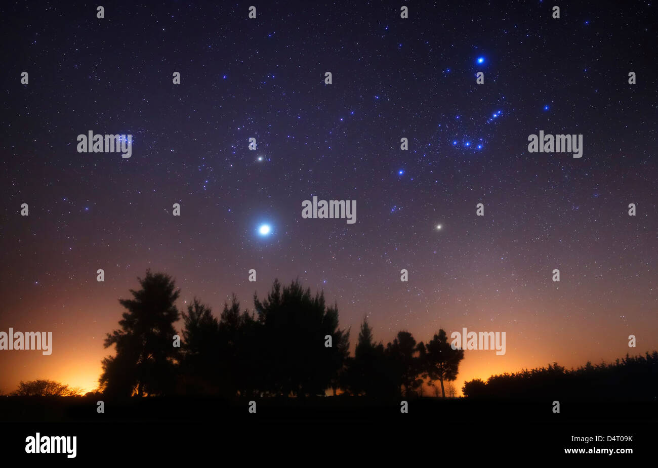 Le Pleiadi, Taurus e Orion con Giove come un ospite, Doyle, Argentina. Foto Stock
