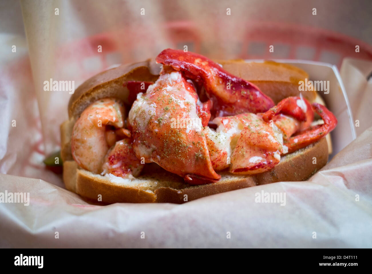 Lobster Pesce rotolo sandwich alimentare Foto Stock