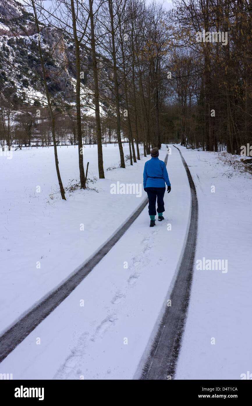 Femmina solitaria walker in inverno la neve, le tracce nella neve, trail, freddo Foto Stock