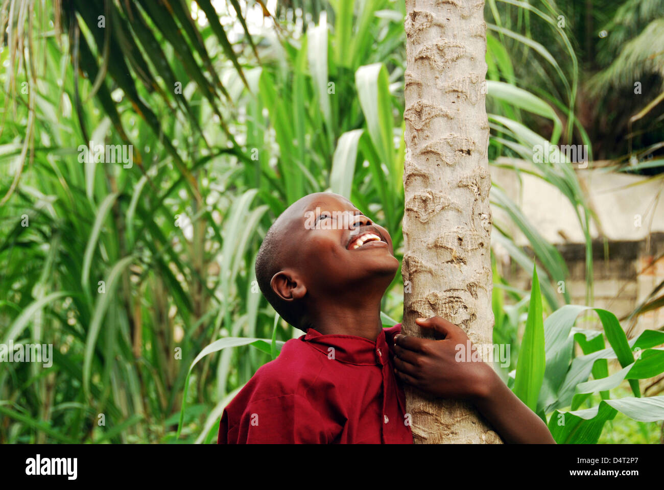 Burundi Bujumbura, ragazzo scuola abbracciando tronco di albero e guardando verso l'alto. (MR) Foto Stock