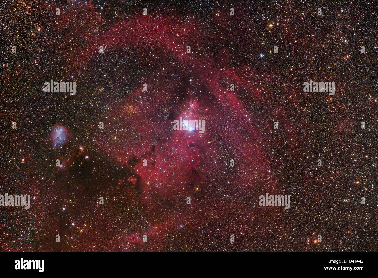 Il cono regione nebulosa in Monoceros. Foto Stock