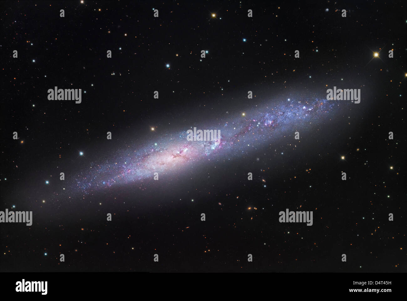 NGC 55, galassia irregolare di scultore. Foto Stock