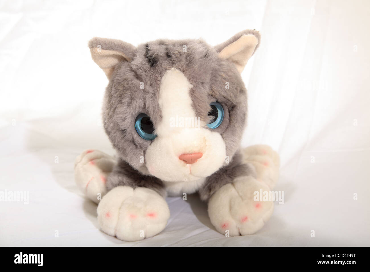 Cute cuddly cat toy Foto Stock