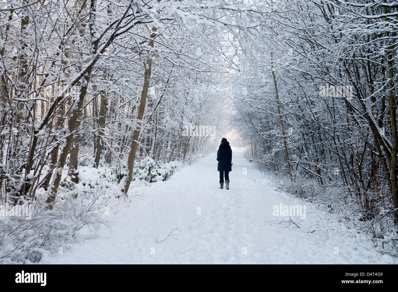 Scene invernali intorno a Doncaster con una casa di pietra ricoperta di neve, una persona che cammina attraverso un sentiero boschivo ghiacciato e impronte attraverso il fiel innevato Foto Stock