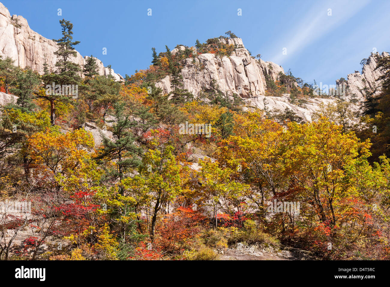 Valle Cheonbuldong scogliere e colori autunnali, Seoraksan National Park, Corea del Sud Foto Stock
