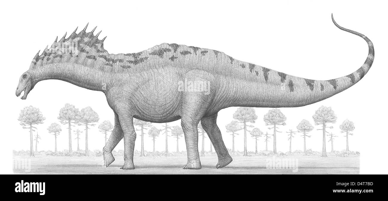 Amargasaurus cazaui, un dinosauro sauropod dall'inizio del periodo Cretaceo. Foto Stock