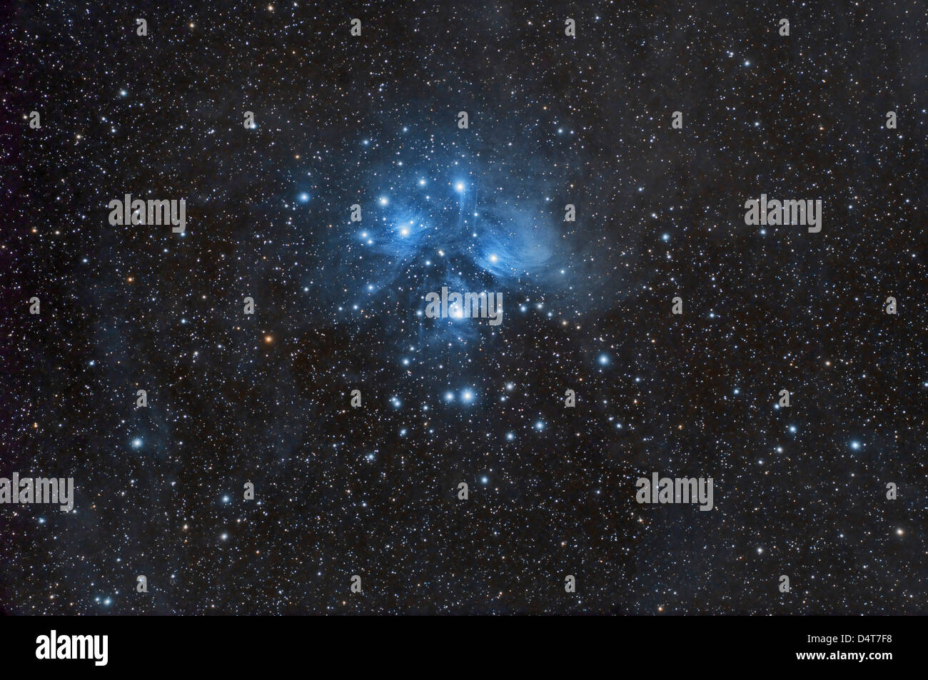 La famosa nebulosa di riflessione e open cluster di stelle nella costellazione del Toro noto come Pleiadi, o sette sorelle. Foto Stock