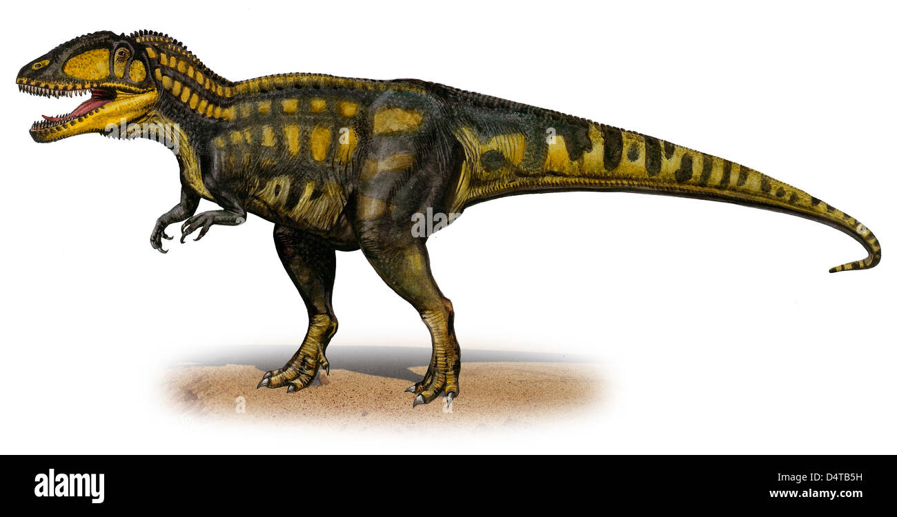 Carcharodontosaurus iguidensis, preistoria dinosauro del Cretaceo. Foto Stock