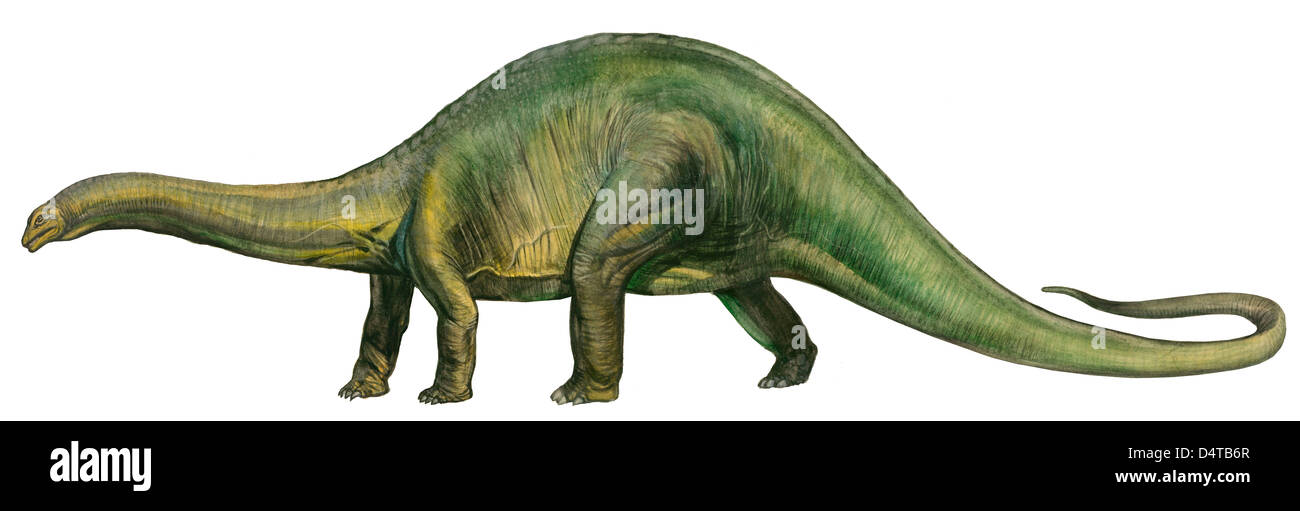 Brontosaurus (retro), preistoria dinosauro del Giurassico. Foto Stock