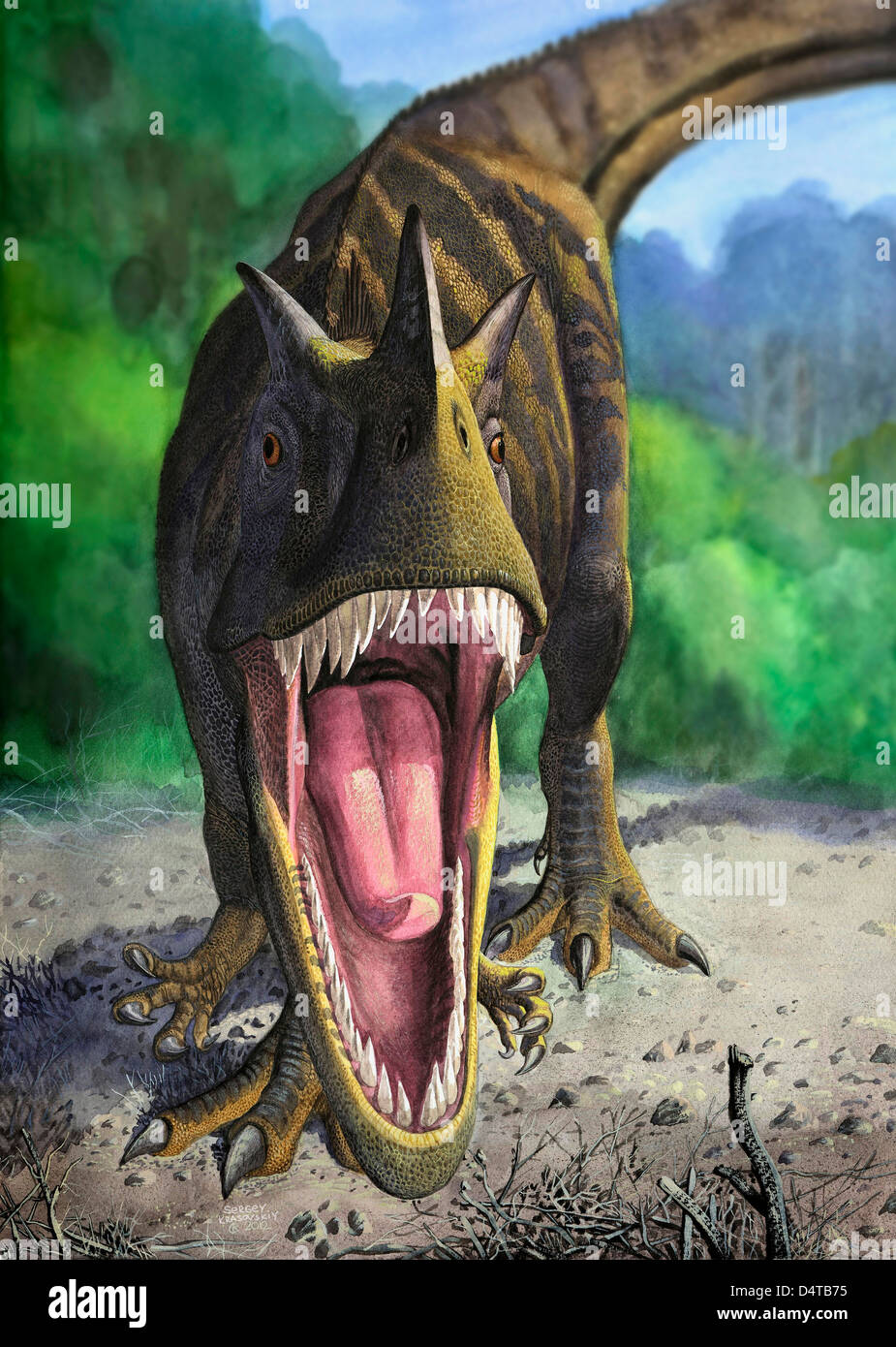 Un arrabbiato Ceratosaurus dentisulcatus dinosauro mostra i suoi denti  feroce Foto stock - Alamy