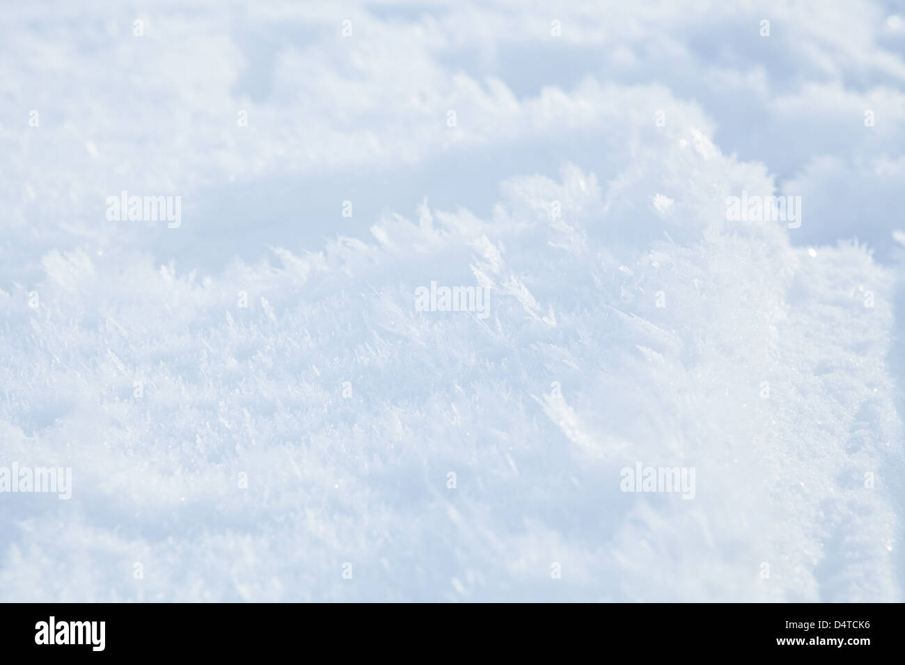 Primo piano della delicata gelidi cristalli di neve nei mesi invernali Foto Stock