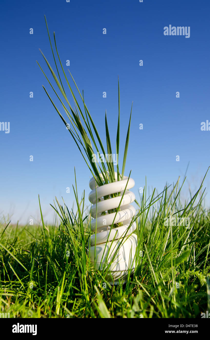 Lampada a risparmio energetico in campo verde Foto Stock