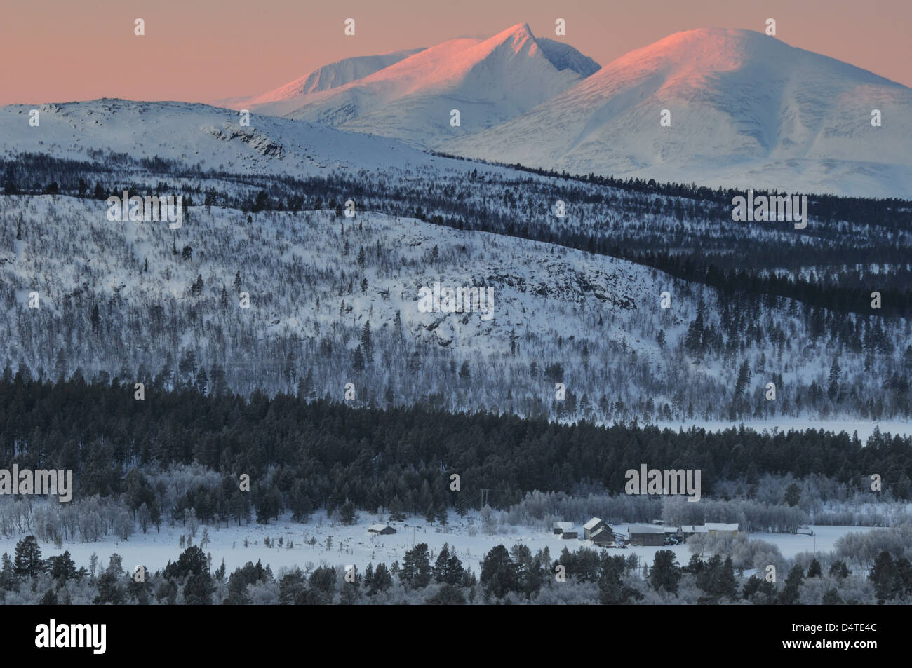 Coperta di neve campi e montagne in Rendalssölen, Hedmark fylke, Norvegia, Europa Foto Stock