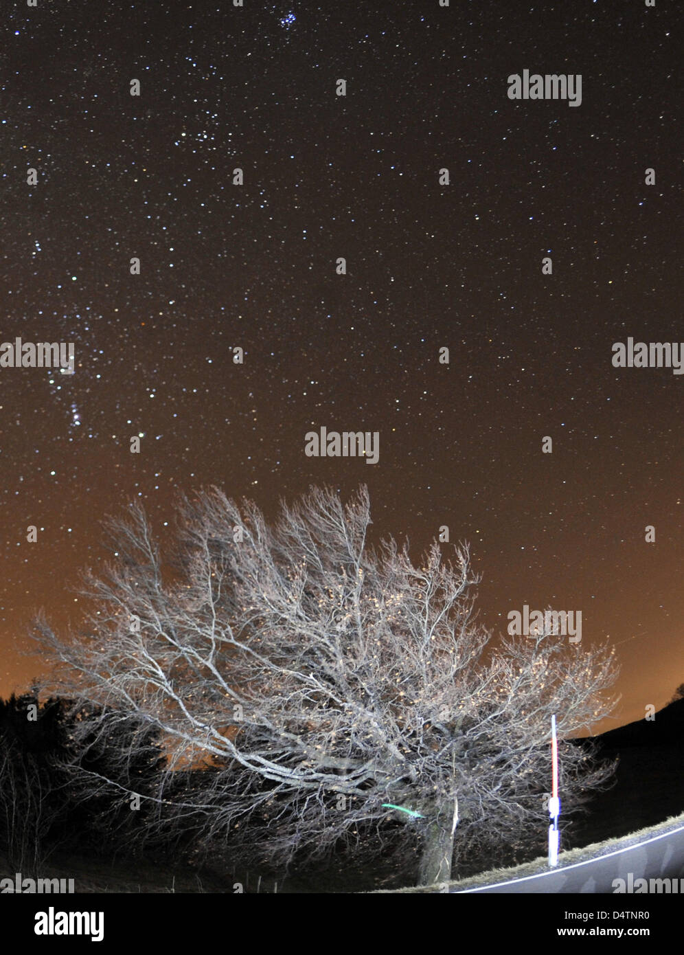 Il cielo stellato nella foto dal Schauinsland (?guardare nel paese?), una montagna vicino a Friburgo, Germania, 19 novembre 2009. La foto risultava da una 30 Secondi tempo di esposizione lungo. La struttura è stata illuminata con numerosi white lampeggia dal fotografo. A causa del lungo tempo di esposizione, le diverse ombre può essere visto sulla strada. Molte stelle cadenti potrebbe essere visto nella notte del 1 Foto Stock