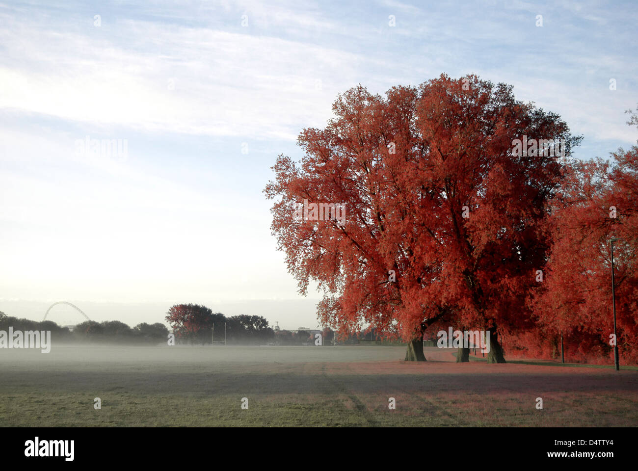 Falso fotografia a colori di un albero. Lo stadio di Wembley in background Foto Stock