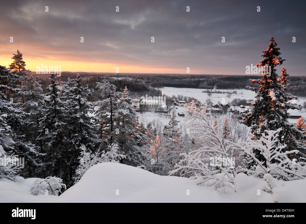 Foresta in inverno, Gärdserum, Åtvidaberg, Östergötland, Svezia, Europa Foto Stock