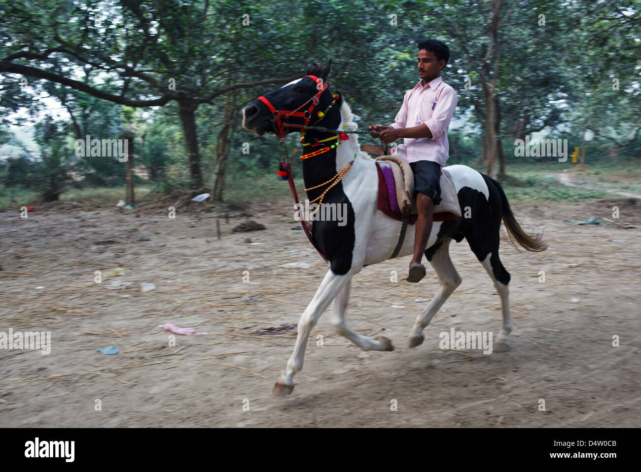 Equitazione al mercato del bestiame a Sonepur Mela, Bihar, in India Foto Stock