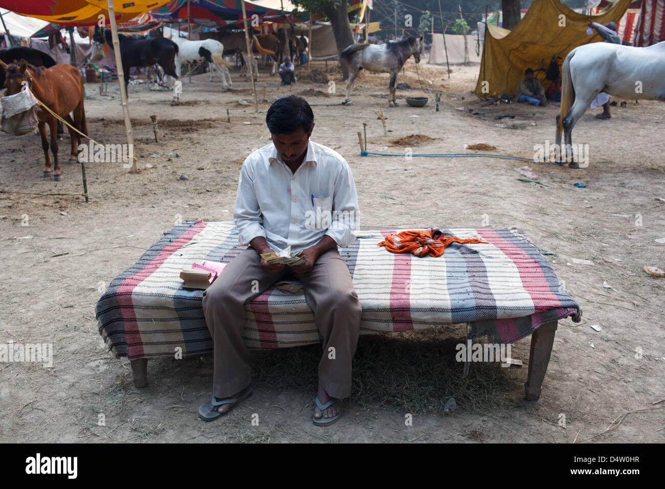 Un venditore conta il denaro a Sonepur Mela fiera del bestiame in Bihar, in India Foto Stock