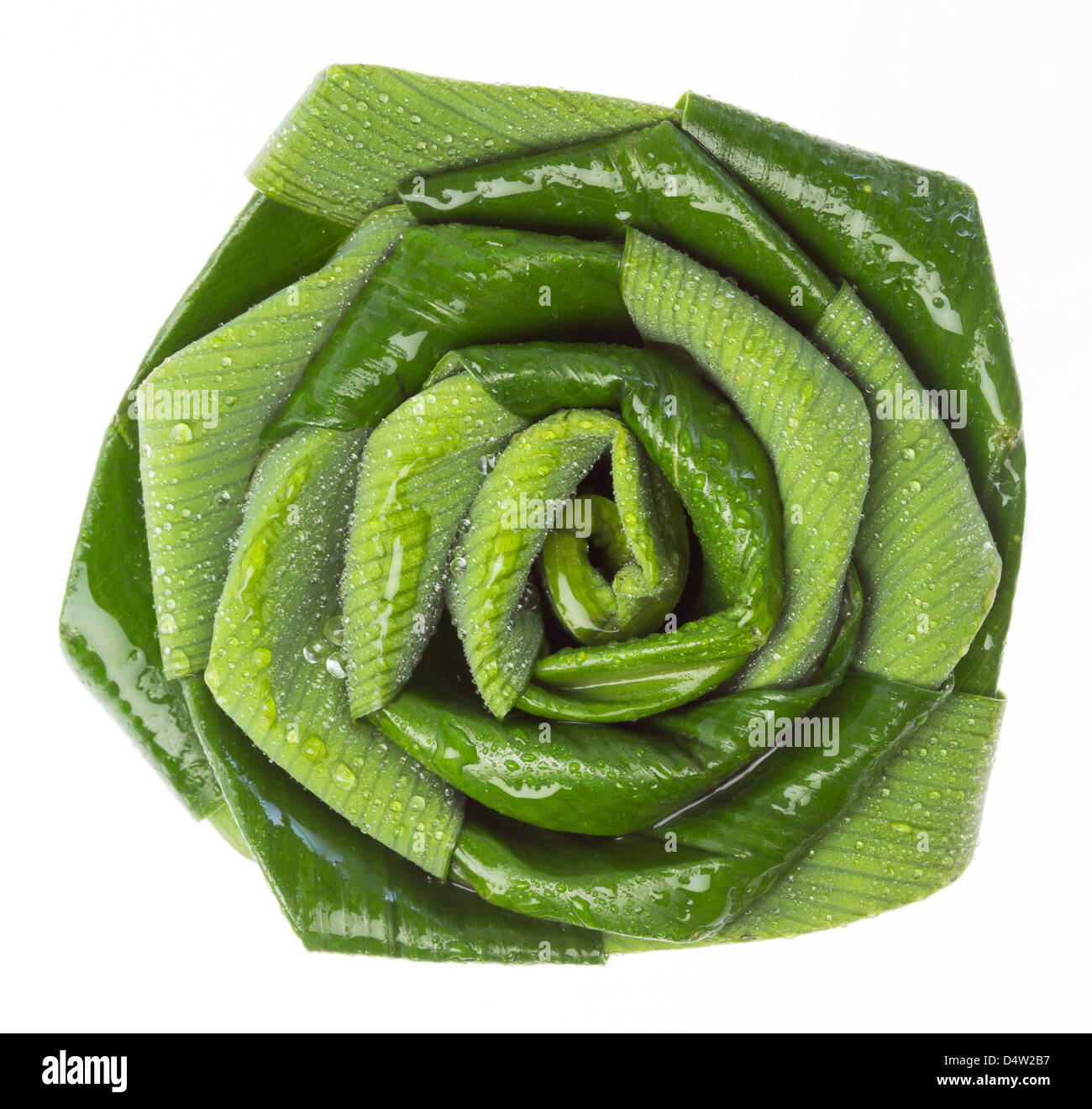 Verde fiore realizzato da pandan leaf Foto Stock
