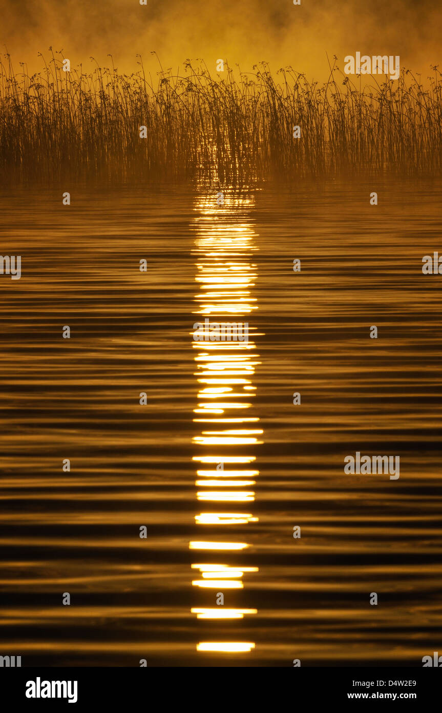 La luce del sole riflessa nell'acqua, Rådasjön, Mólndal, Svezia, Europa Foto Stock