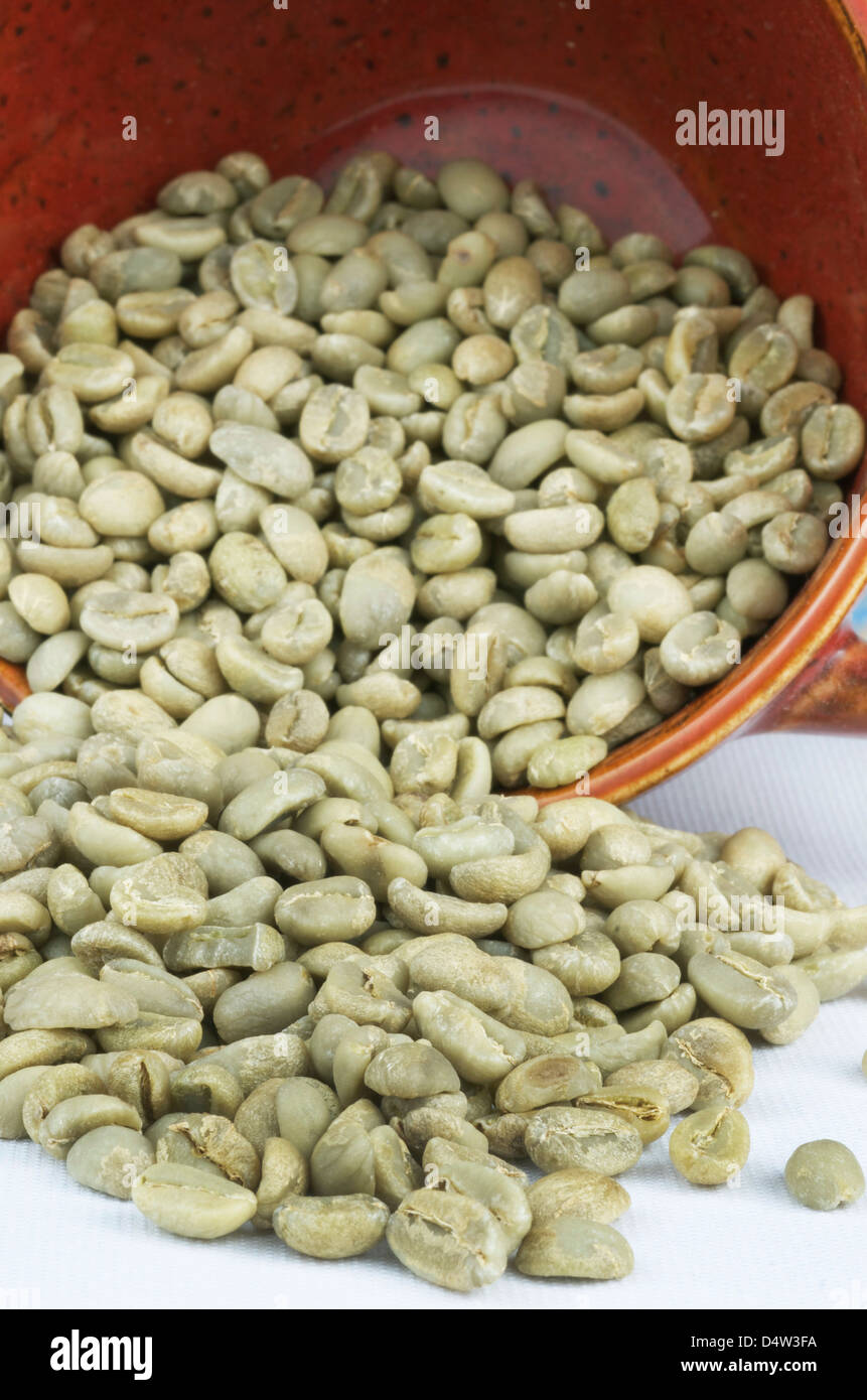 Chicchi verdi di caffè la fuoriuscita di un rosso tazza da caffè. Foto Stock